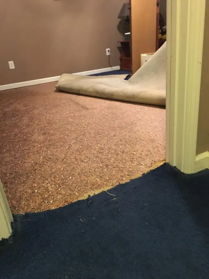 Carpet pad removal revealing water damage during Water Mitigation Services in Fruit Heights