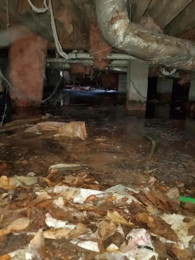 Crawl space flood assessment for Leak Detection & Repair in Fruit Heights