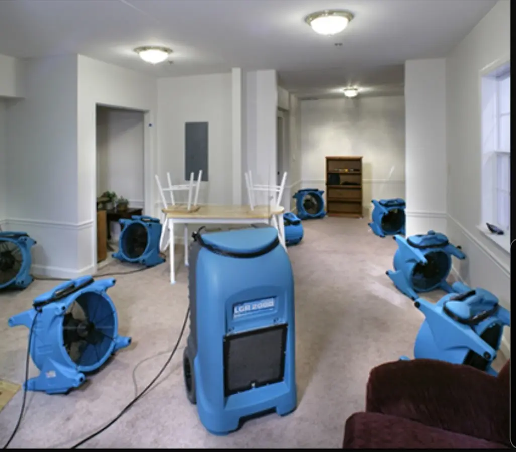 Air movers and dehumidifier setup for Water Extraction & Removal in Fruit Heights