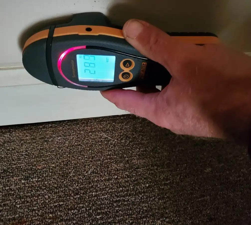 Moisture detection at baseboard during Sewage Cleanup & Sanitation in Fruit Heights